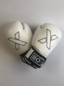White Leather Boxing Gloves